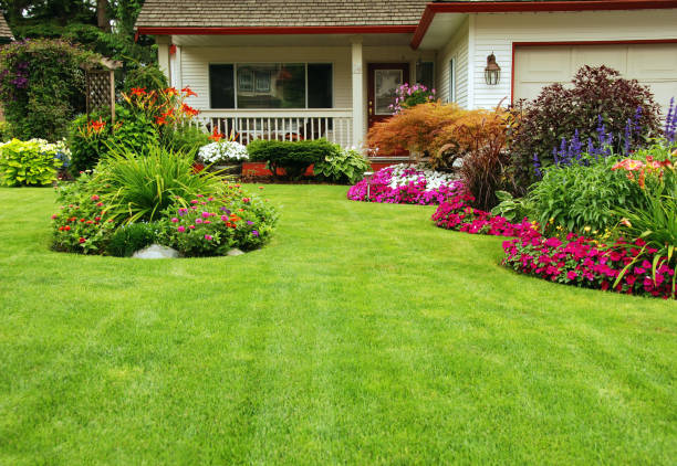 Yards